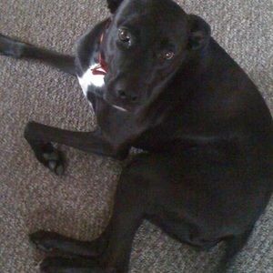 Meet your Posher, Brent